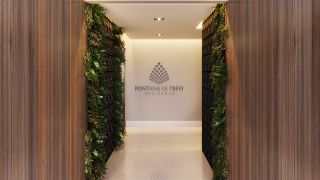 Fontana Di Trevi Residence