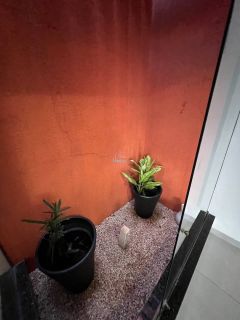 Casa ampla e moderna à venda no bairro Santo André – Dourados/MS