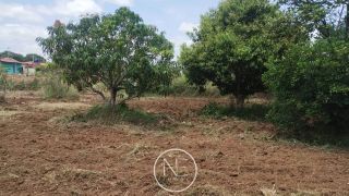 TERRENO Á VENDA EM SÃO CRISTÓVÃO
