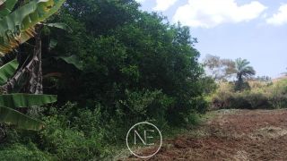 TERRENO Á VENDA EM SÃO CRISTÓVÃO