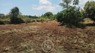 TERRENO Á VENDA EM SÃO CRISTÓVÃO