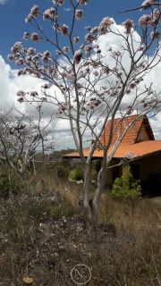 Lotes disponíveis para venda no Condomínio Mirante da Serra na cidade de Gravata - Pernambuco.