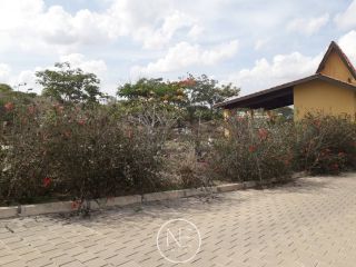 Lotes disponíveis para venda no Condomínio Mirante da Serra na cidade de Gravata - Pernambuco.