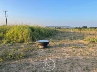 Chácara à Venda em Ribeirópolis – Povoado Pião