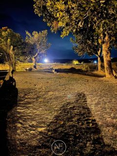 Chácara à Venda em Ribeirópolis – Povoado Pião