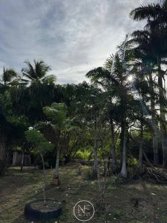 Vende-se Chácara com 20.8 Tarefas – Localização Privilegiada em São Cristóvão/SE