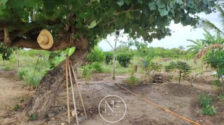Fazenda barreirinha localizado no Santo Amaro das Brotas