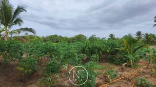 Fazenda barreirinha localizado no Santo Amaro das Brotas