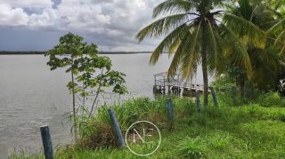 Fazenda barreirinha localizado no Santo Amaro das Brotas