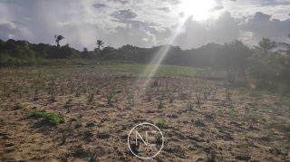 Fazenda barreirinha localizado no Santo Amaro das Brotas