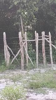 Fazenda barreirinha localizado no Santo Amaro das Brotas