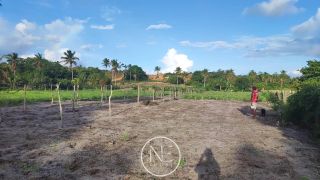 Fazenda barreirinha localizado no Santo Amaro das Brotas
