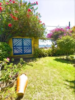 Oportunidade Única na Atalaia Nova – Casa Ampla com Quintal Verdejante!