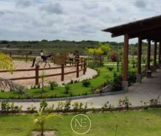 Lote à Venda na Fazenda Real – Abaís/SE