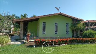 Excelente chácara à venda no mosqueiro!