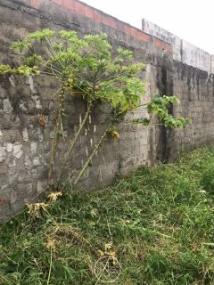 Terreno á Venda no Bairro Santos Dumont
