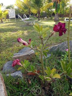 Chácara dos Sonhos à Venda Próximo à Praia do Saco, Estância – SE