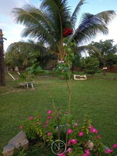 Chácara dos Sonhos à Venda Próximo à Praia do Saco, Estância – SE