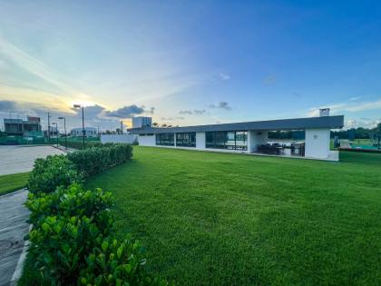 Terras Alphaville 4