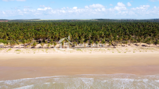 ÓASIS BEACH - PRAIA DO TOCO - FELIZ DESERTO/AL