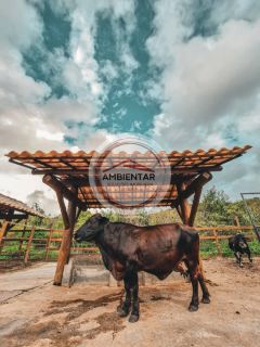 Terreno - Condomínio Fazenda Real Residence II