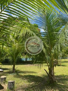 Chácara Para Vender com 2 quartos 1 suíte  em Itaporanga D'Ajuda