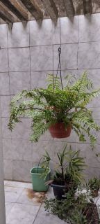 Casa no Marcos Freire 2