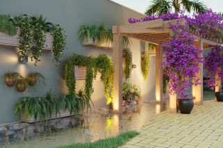 MAISON NATURE
