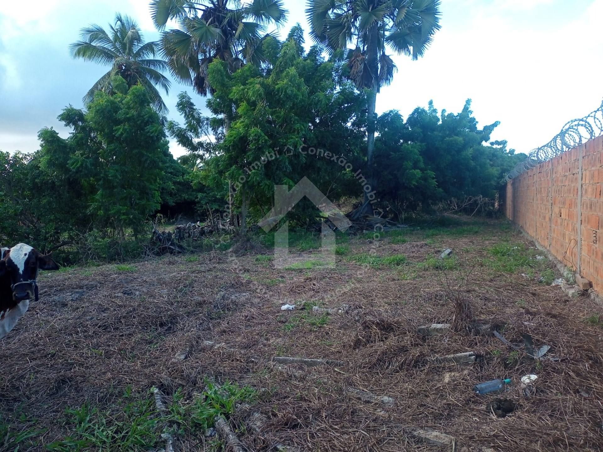 Terreno escriturado de esquina