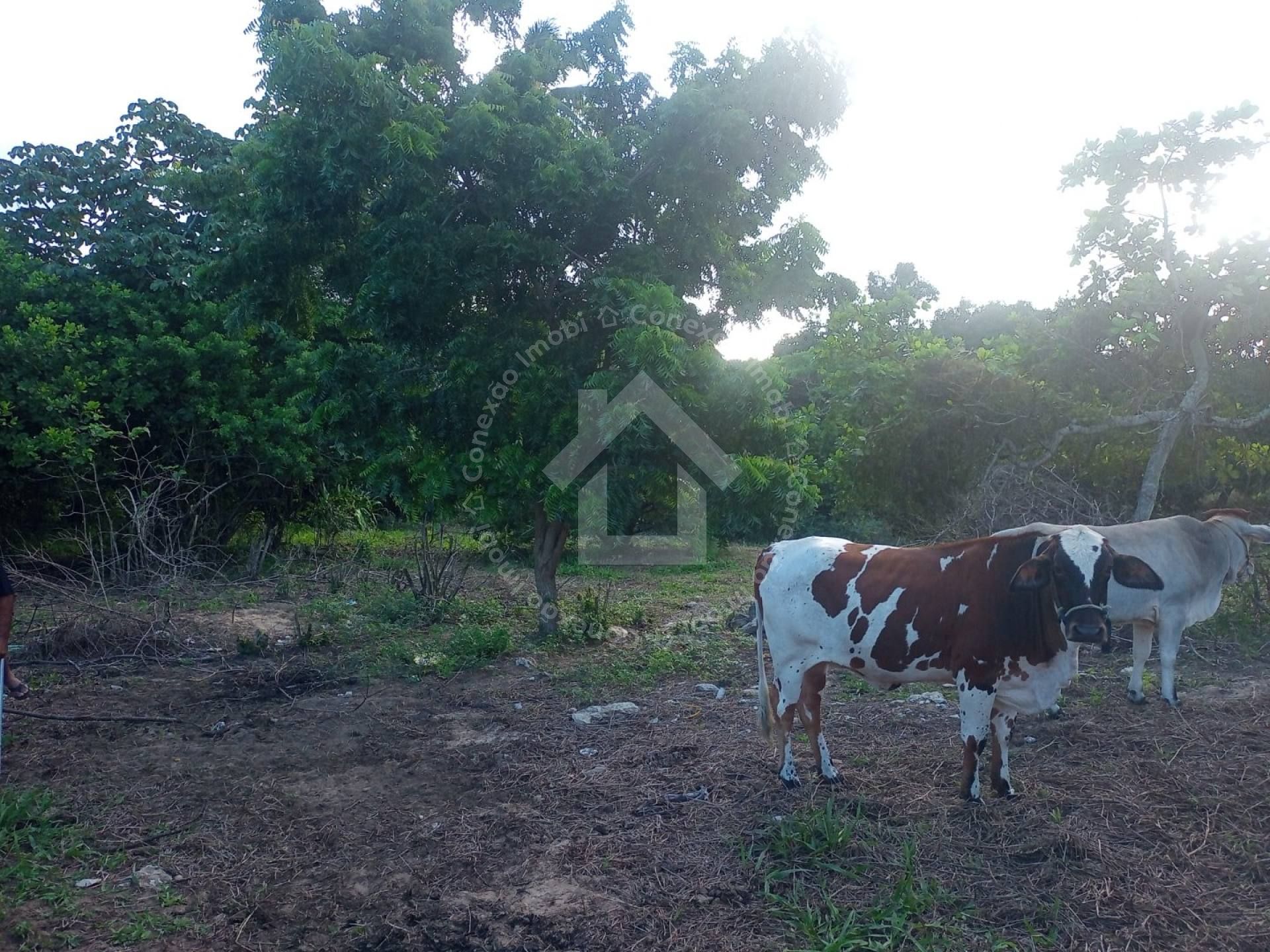 Terreno escriturado de esquina