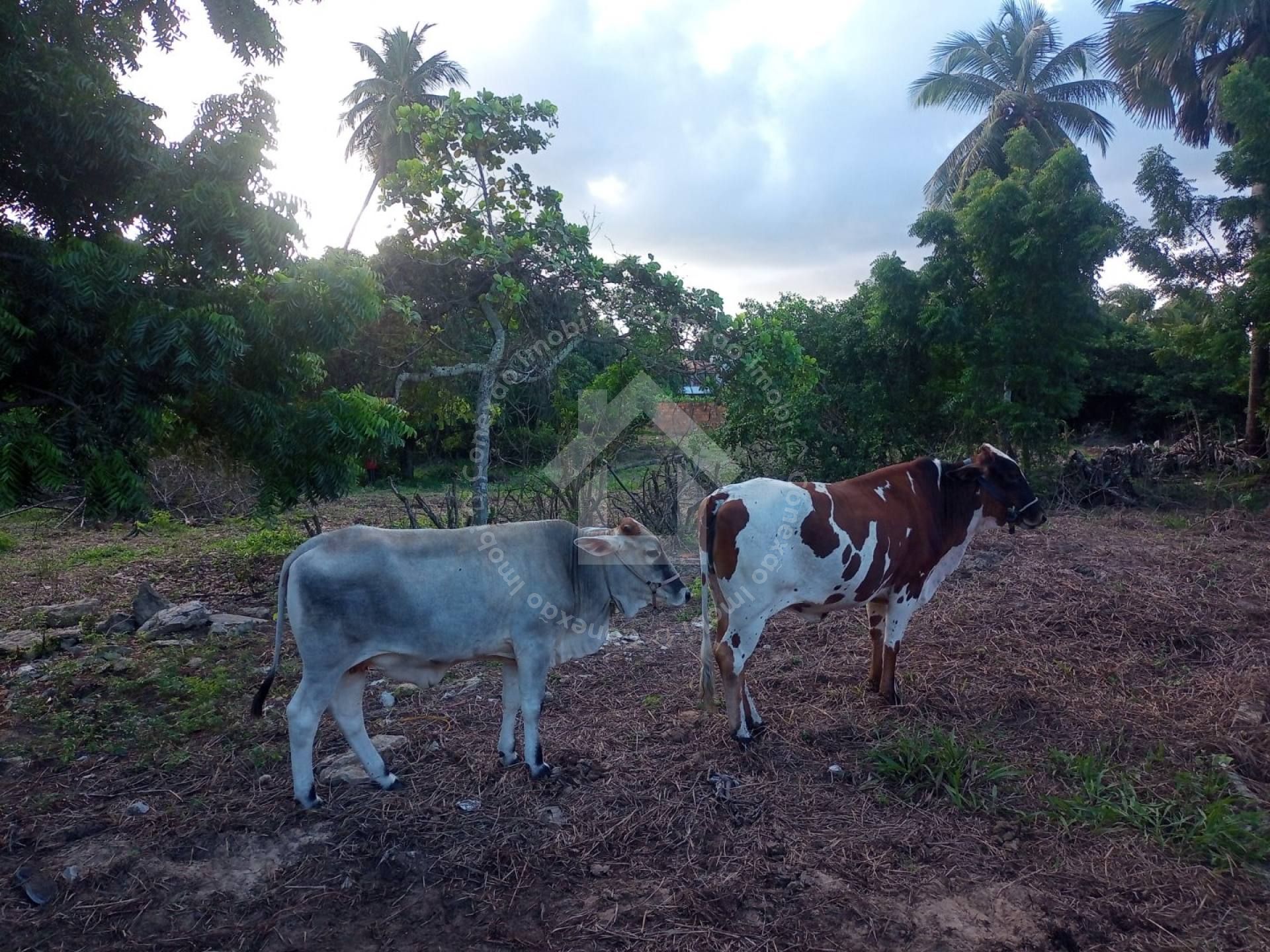 Terreno escriturado de esquina