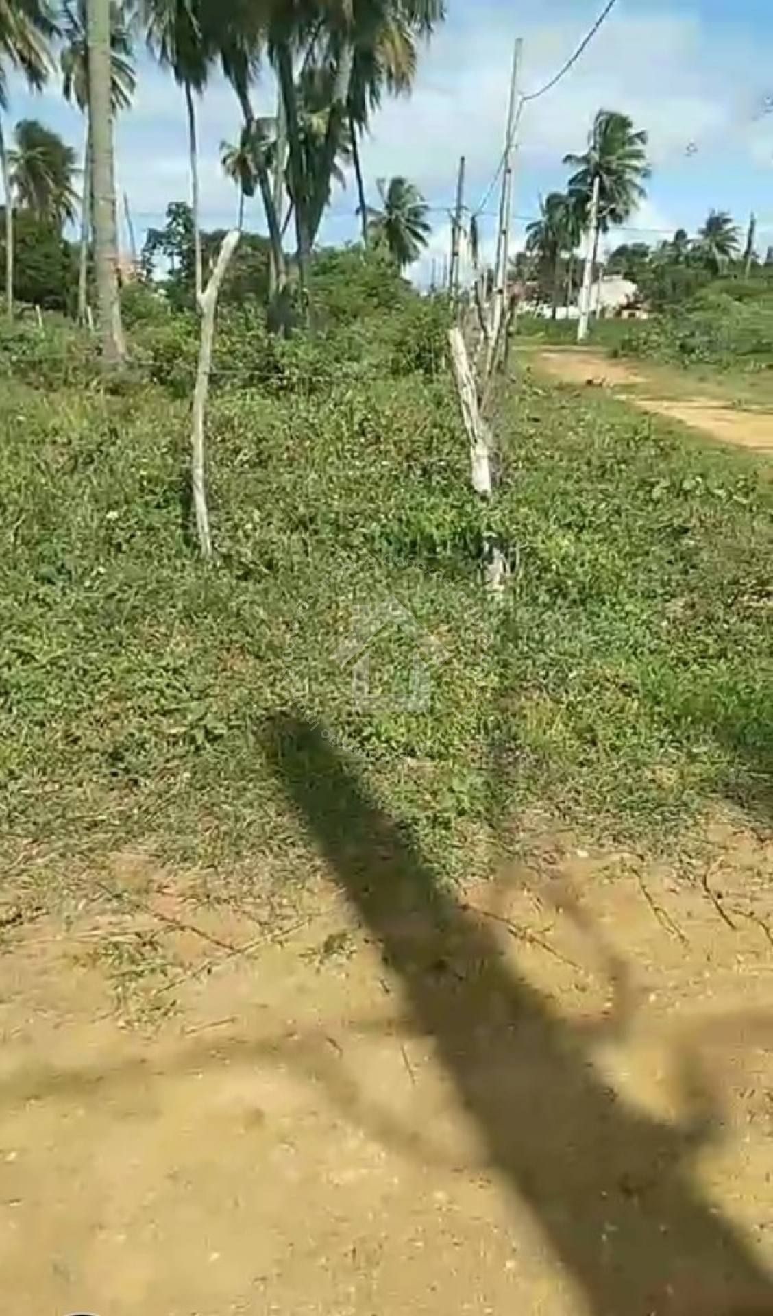 Terrenos no Mosqueiro 500m² (Loteamento Santa Clara)