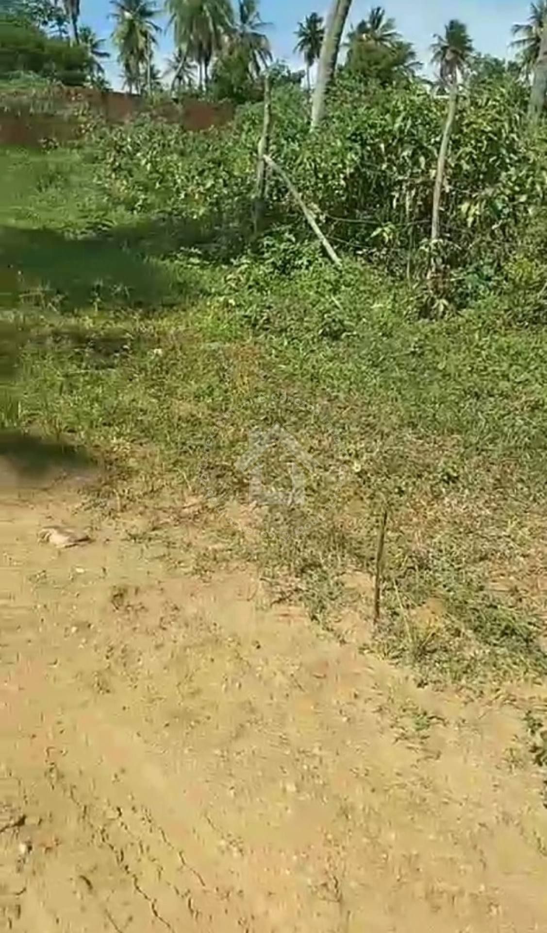 Terrenos no Mosqueiro 500m² (Loteamento Santa Clara)