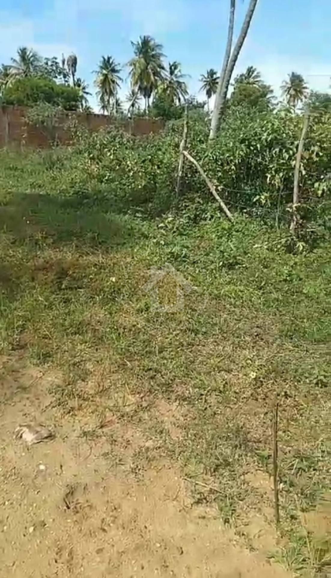 Terrenos no Mosqueiro 500m² (Loteamento Santa Clara)