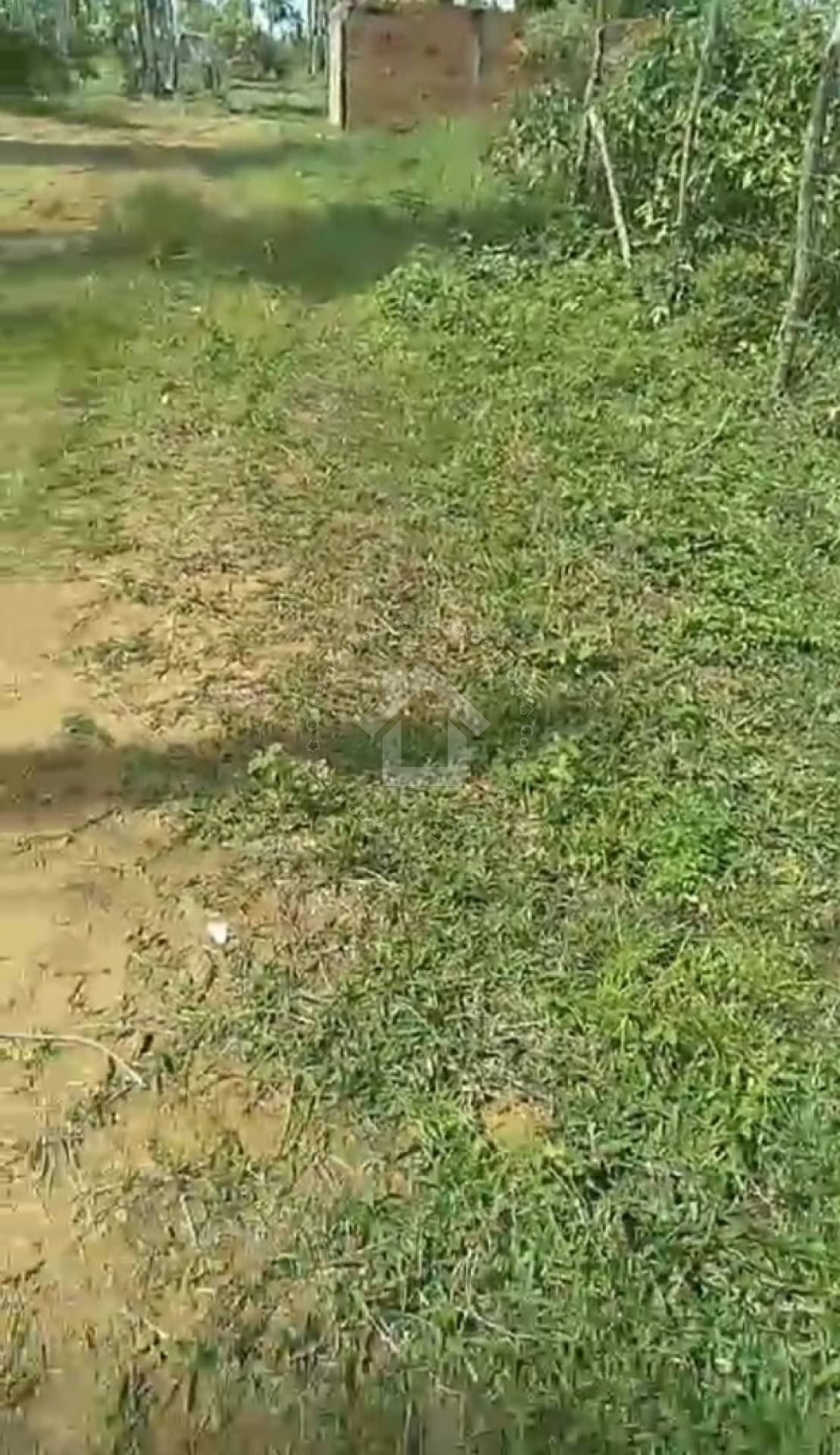 Terrenos no Mosqueiro 500m² (Loteamento Santa Clara)