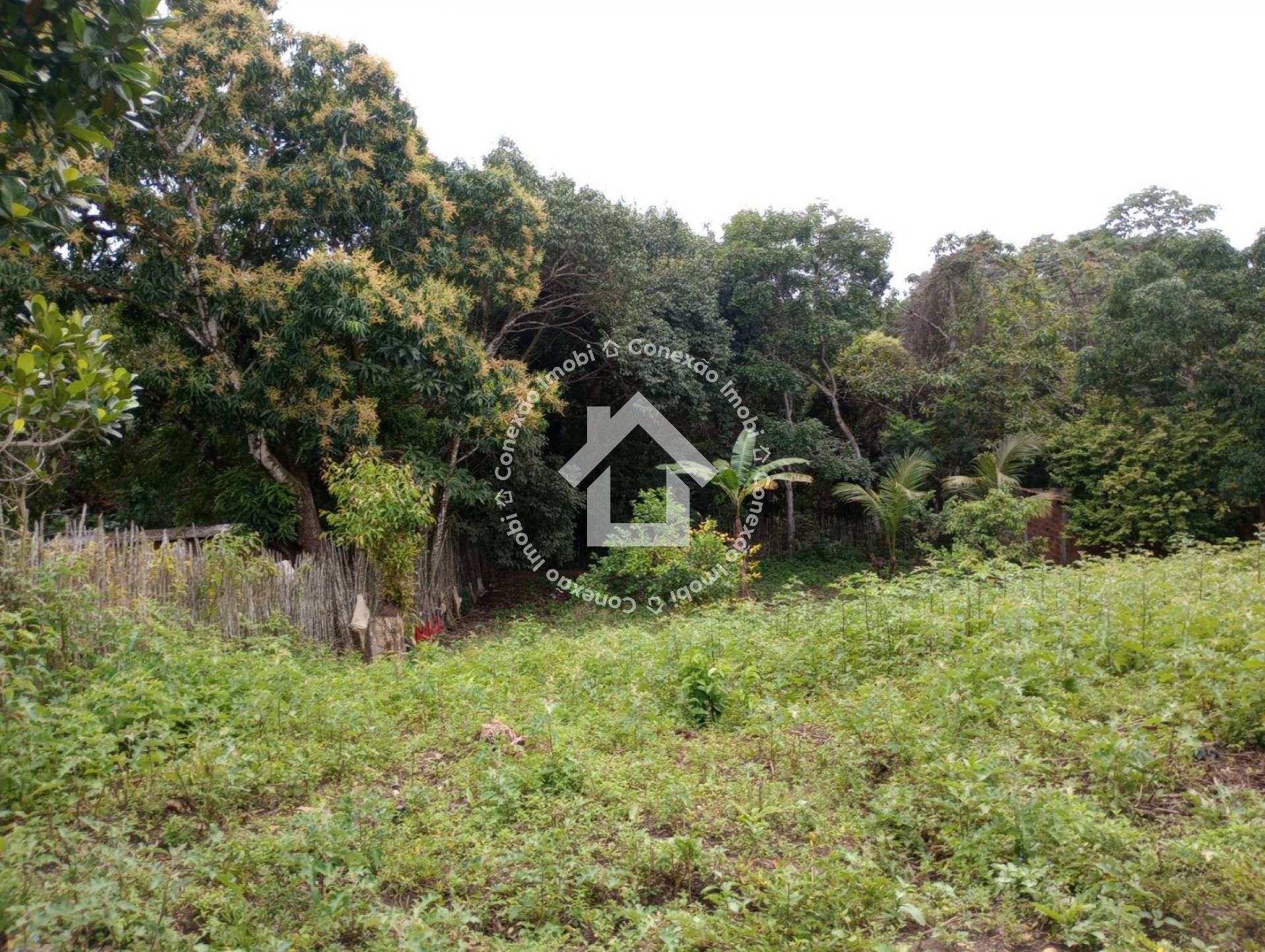 Sítio à venda - São Cristovão | 3 quartos