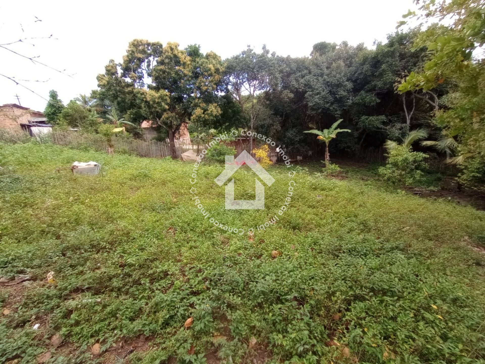 Sítio à venda - São Cristovão | 3 quartos