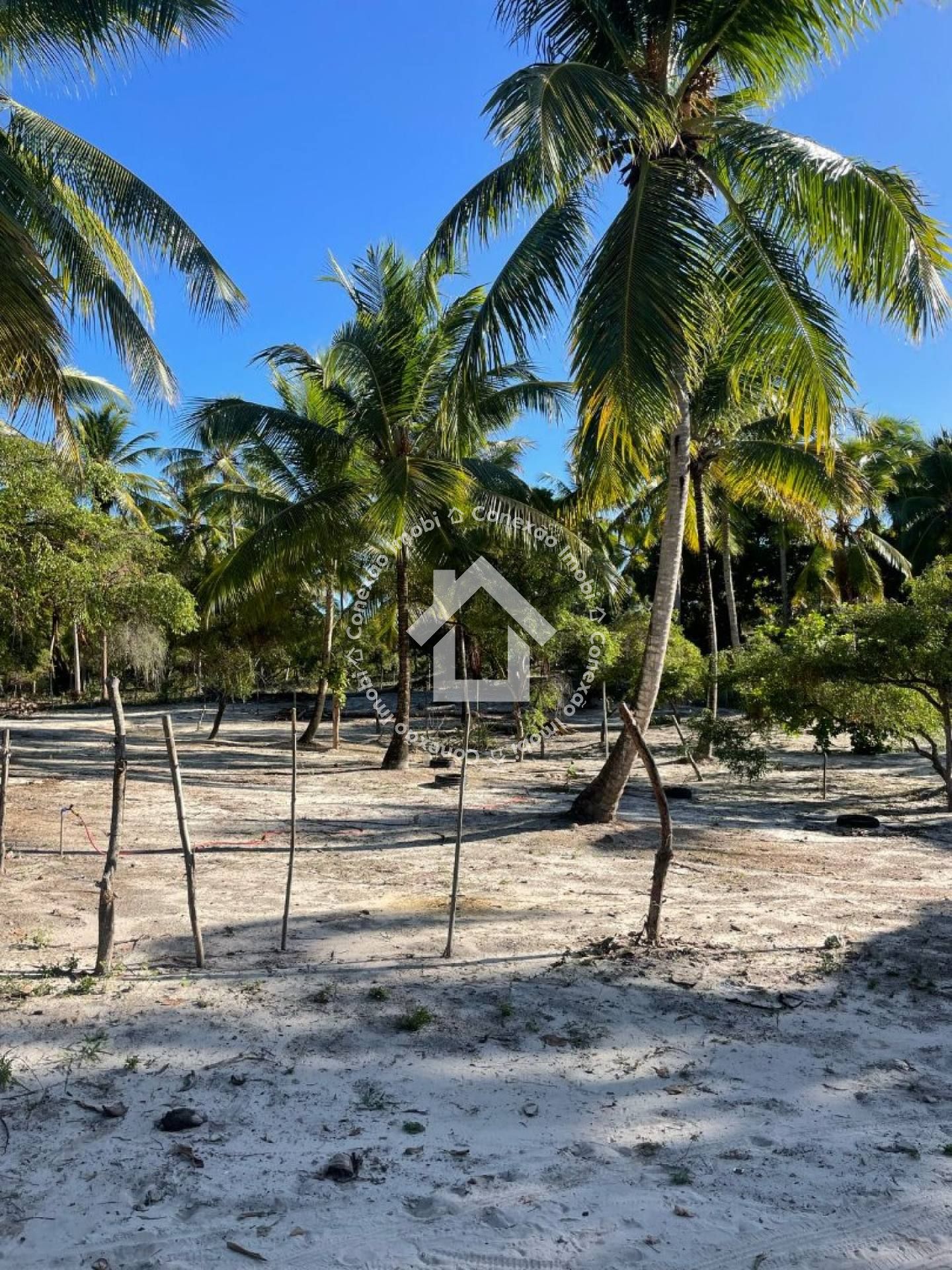 VENDE-SE Terreno em Pirambu-SE 15x40m²