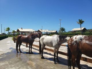 Lote no CONDOMÍNIO FAZENDA REAL RESIDENCE 1 - Próximo da Caueira e do Abaís