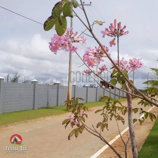 Lote no CONDOMÍNIO FAZENDA REAL RESIDENCE 1 - Próximo da Caueira e do Abaís