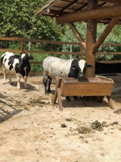 Lote no CONDOMÍNIO FAZENDA REAL RESIDENCE 1 - Próximo da Caueira e do Abaís