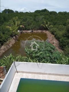 Casa com ponto comercial à Venda no Albano Franco com Piscina Privativa e Viveiro