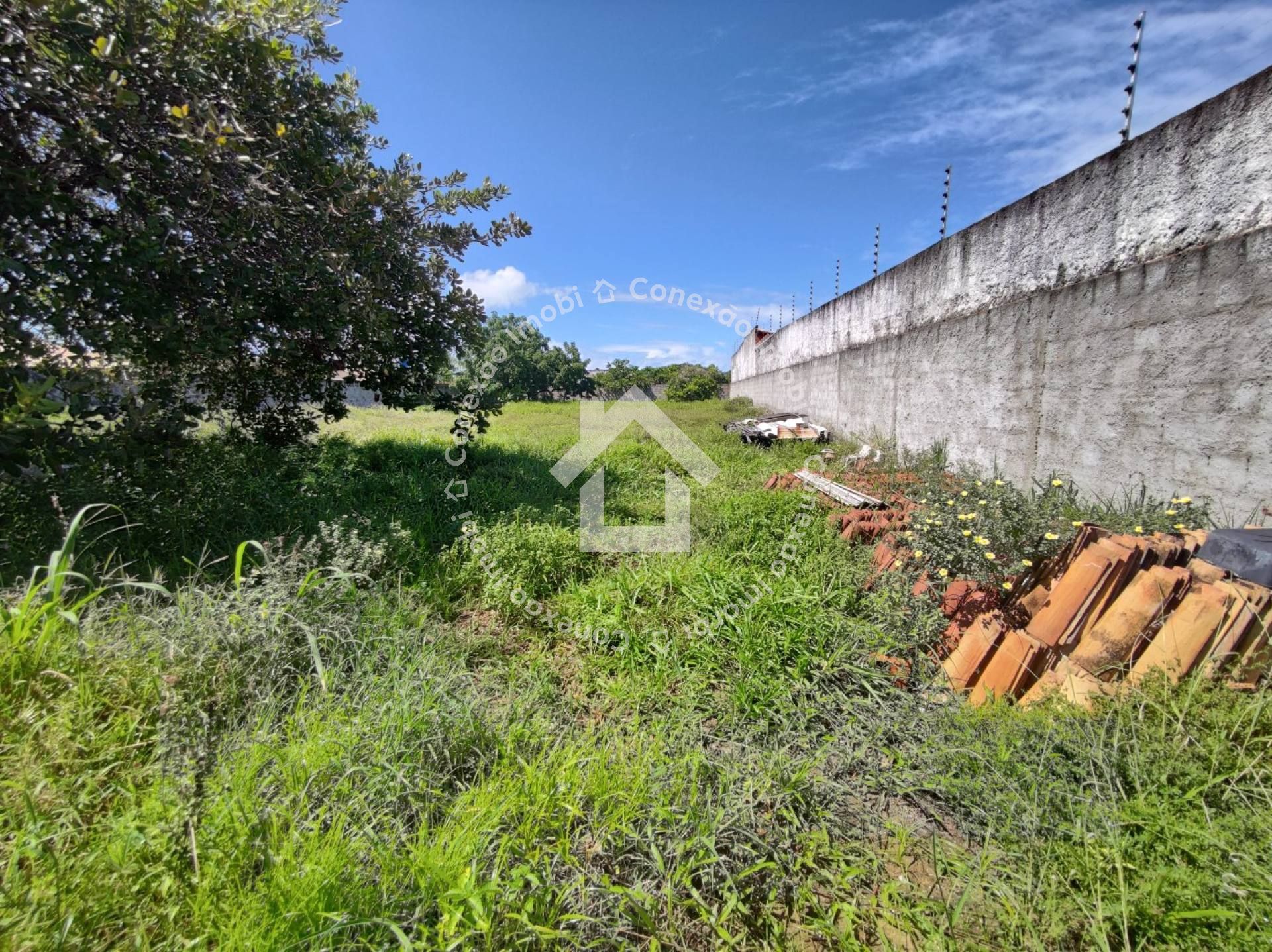 Terreno à venda na Areia Branca | 25x53