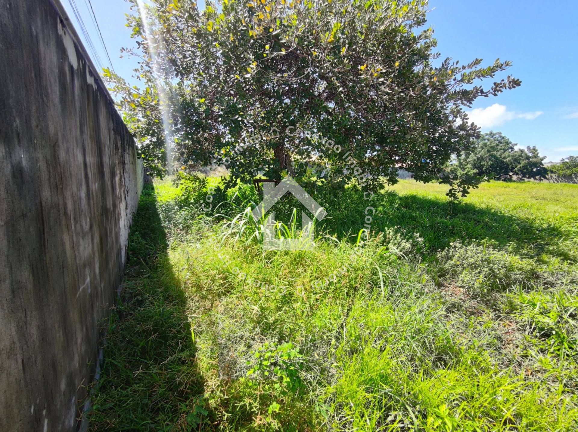 Terreno à venda na Areia Branca | 25x53