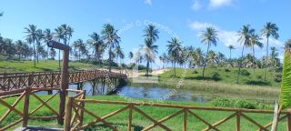 Lote à venda no CONDOMÍNIO SUNSET BEACH RESIDENCE -  Barra dos Coqueiros | Pé na areia e Área Gourmet
