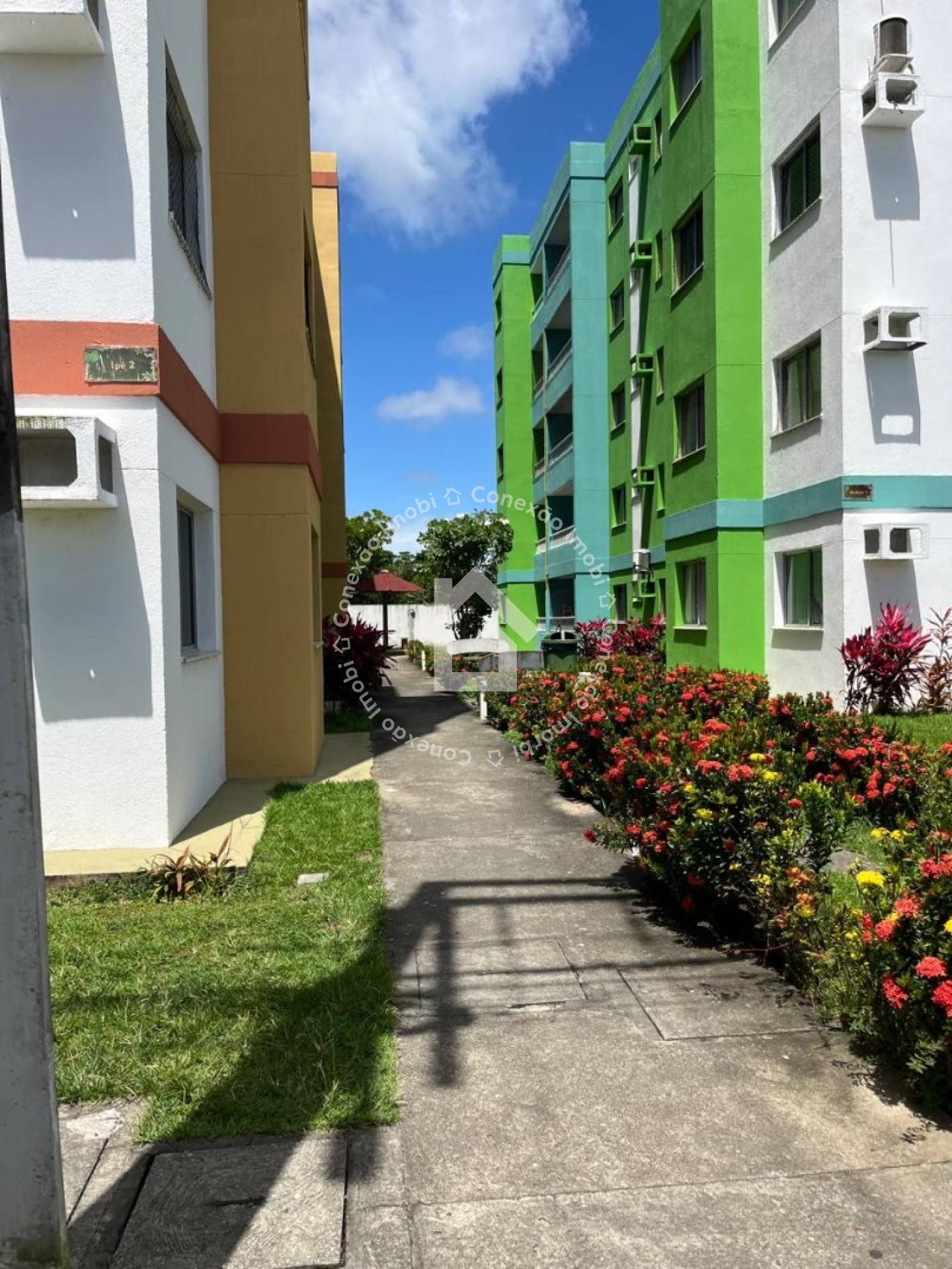 Apartamento à venda no CONDOMÍNIO HORTO SANTO ANTÔNIO - Porto D'antas | 2 quartos