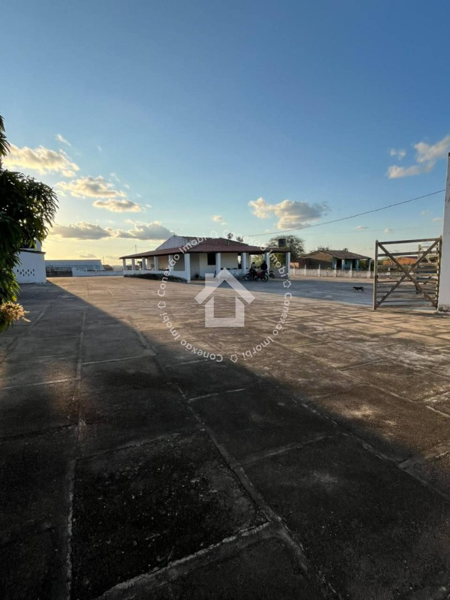 Chácara à venda com 23 tarefas (69.000M²) entre Porto da folha e Lagoa da volta