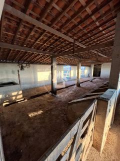 Chácara à venda com 23 tarefas (69.000M²) entre Porto da folha e Lagoa da volta