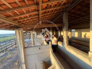 Chácara à venda com 23 tarefas (69.000M²) entre Porto da folha e Lagoa da volta