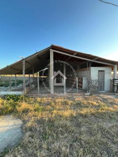 Chácara à venda com 23 tarefas (69.000M²) entre Porto da folha e Lagoa da volta